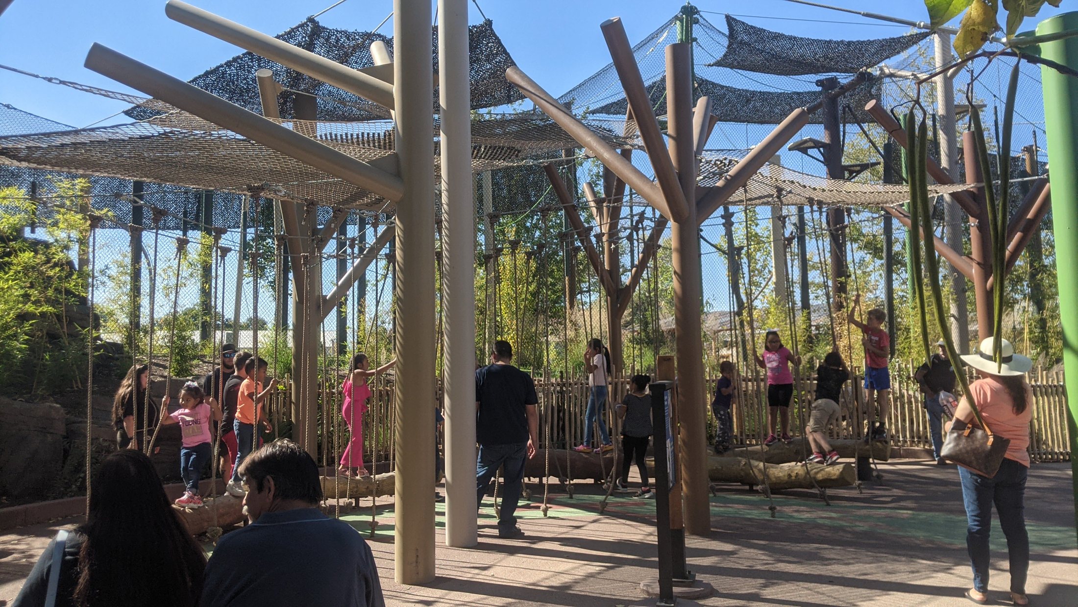 ABQ BioPark project view 4