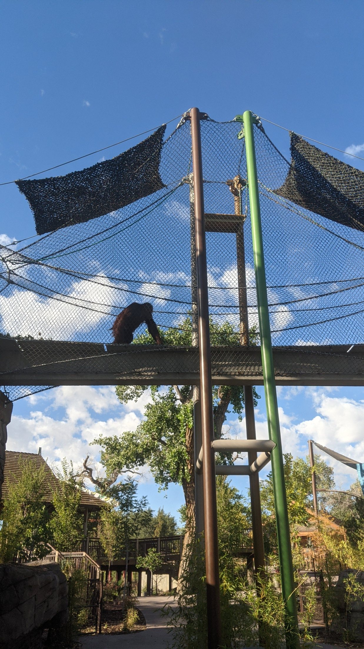 ABQ BioPark project view 7