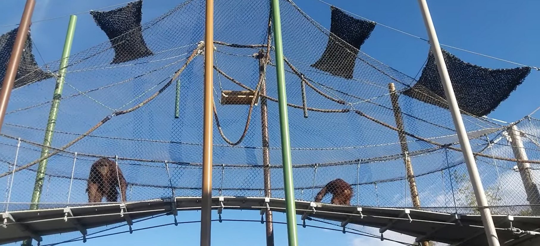 ABQ BioPark project view 8