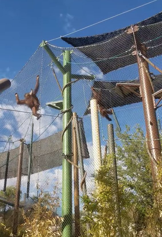 ABQ BioPark project view 9