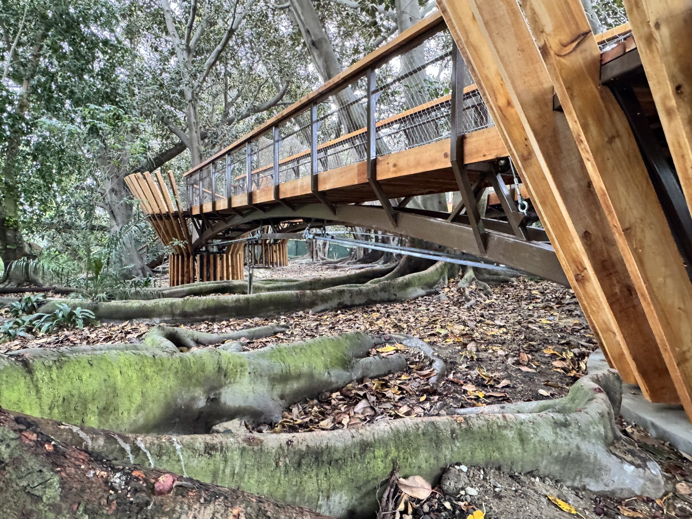 South Coast Botanic Garden