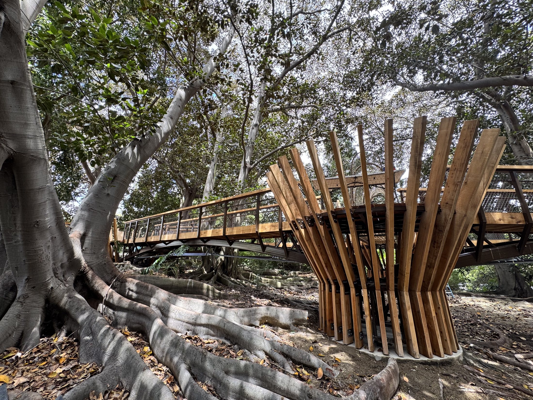 South Coast Botanic Garden project view 3