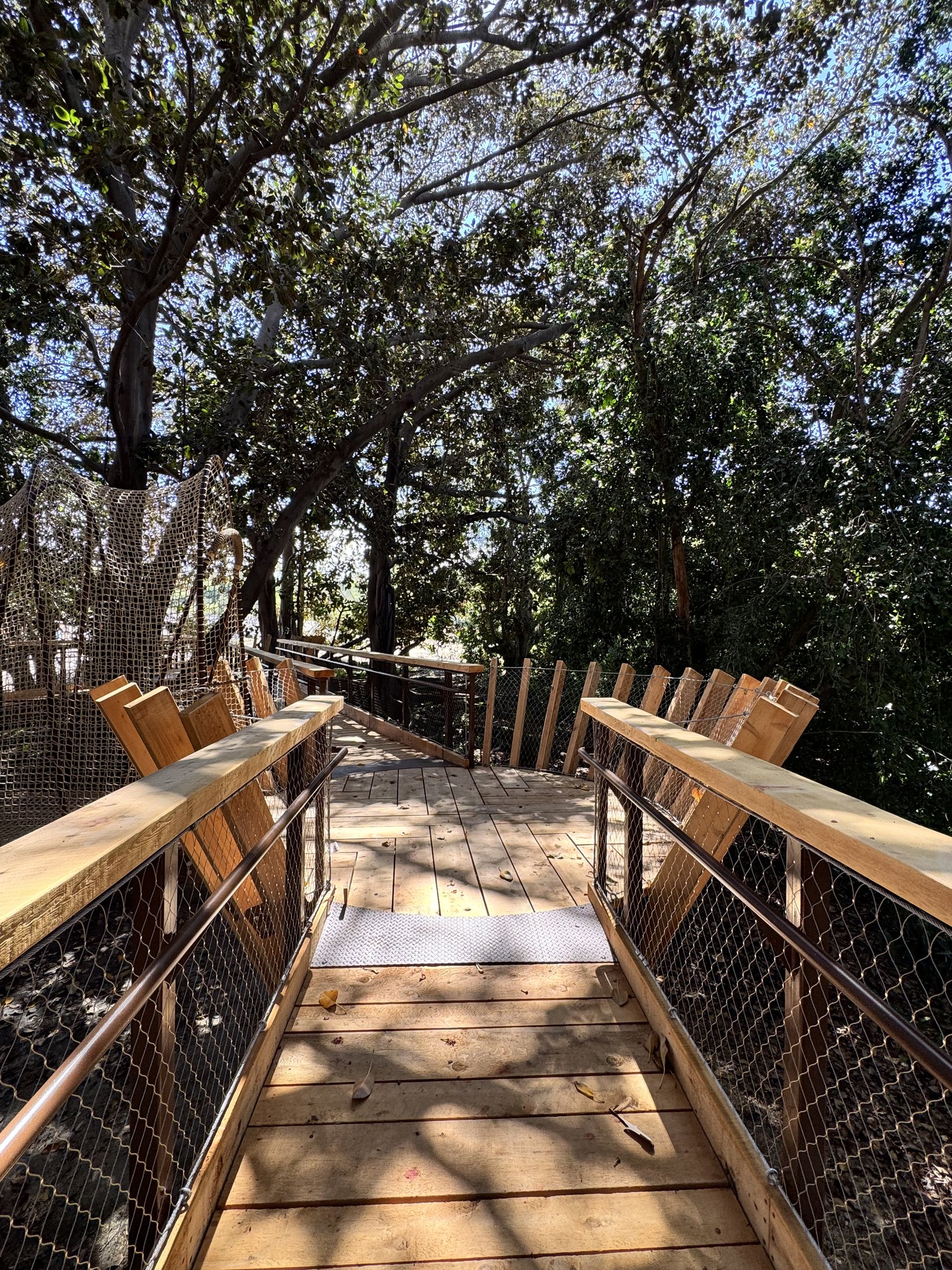 South Coast Botanic Garden project view 4
