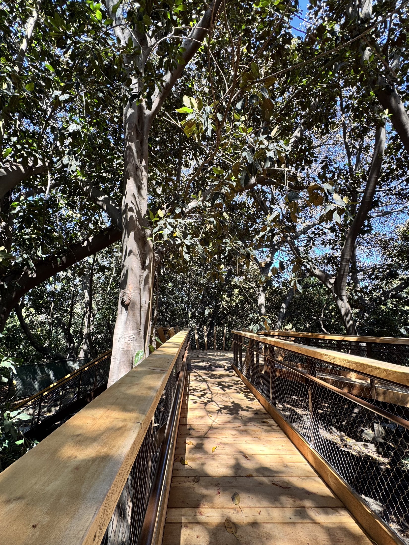 South Coast Botanic Garden project view 5