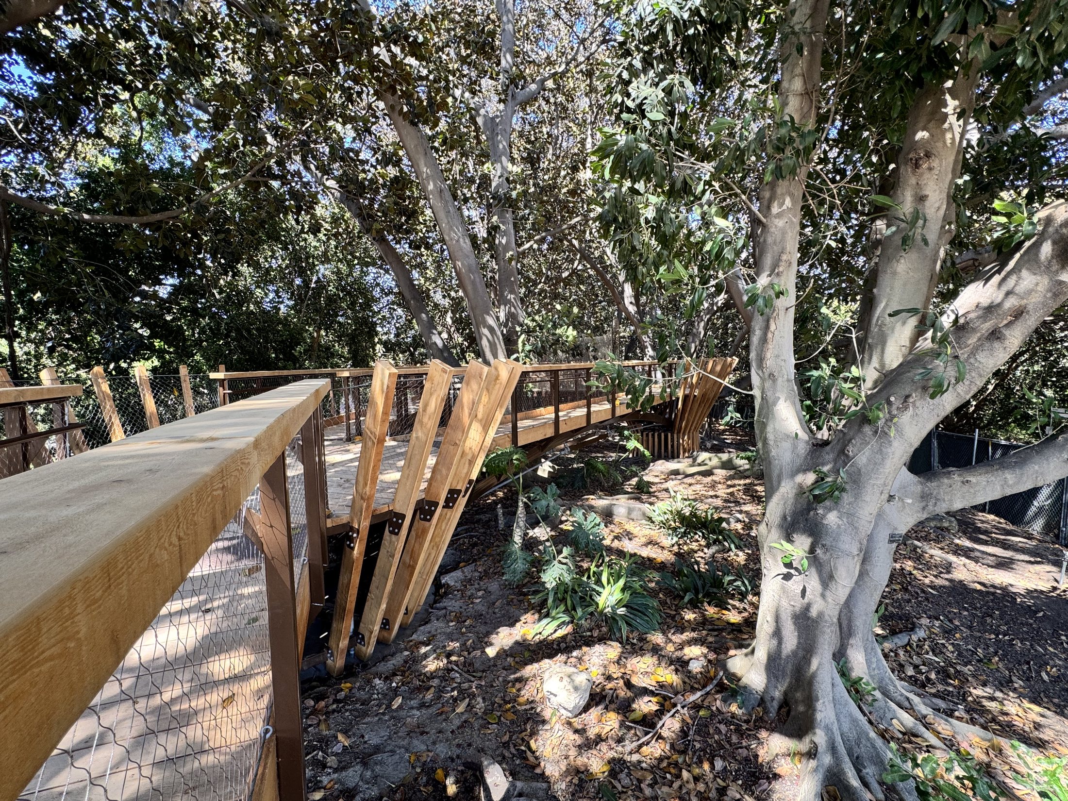 South Coast Botanic Garden project view 6