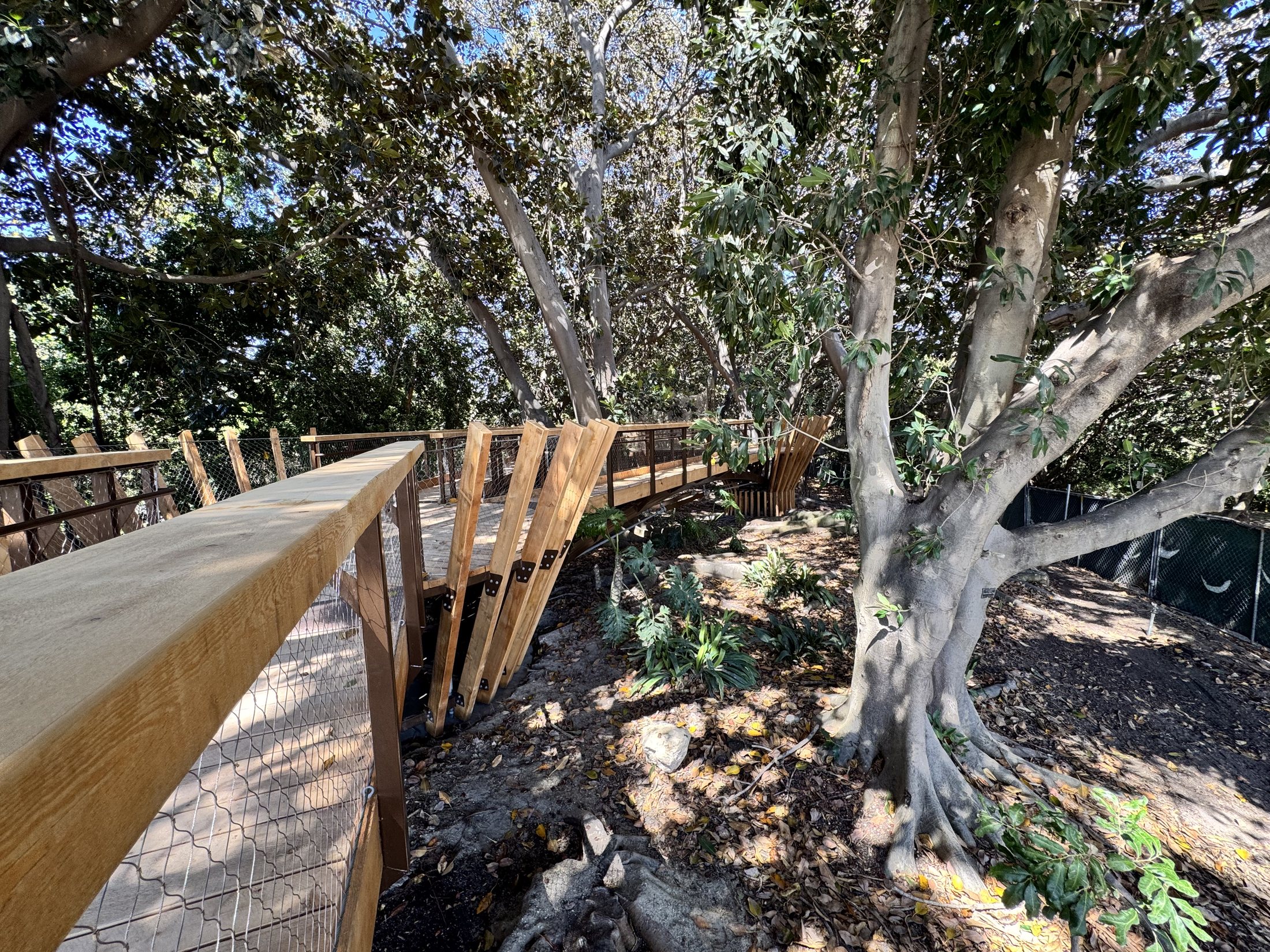 South Coast Botanic Garden project view 7
