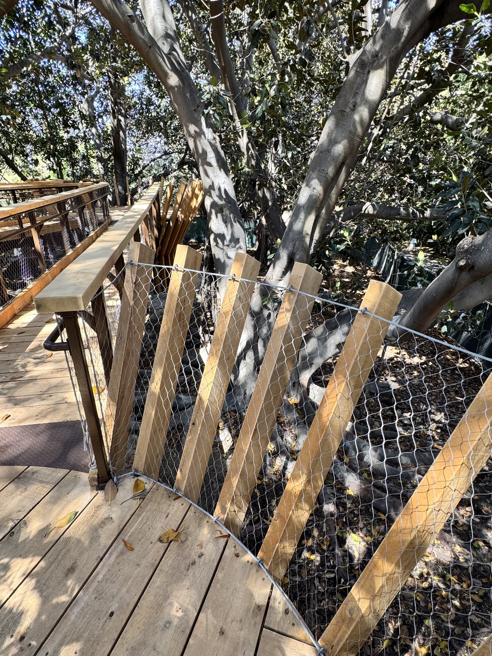 South Coast Botanic Garden project view 10