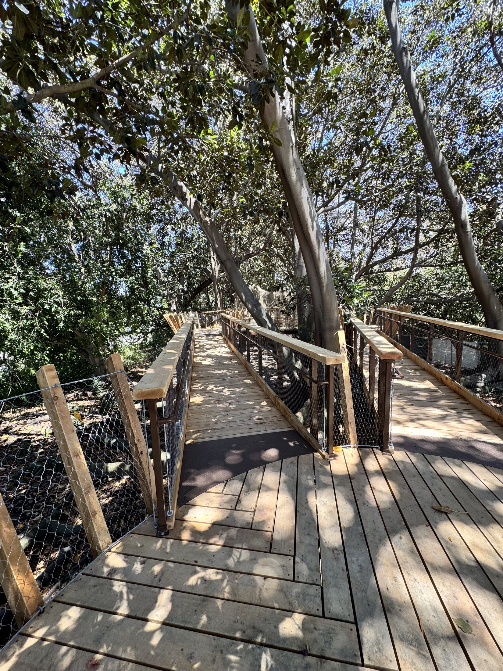 South Coast Botanic Garden project view 12