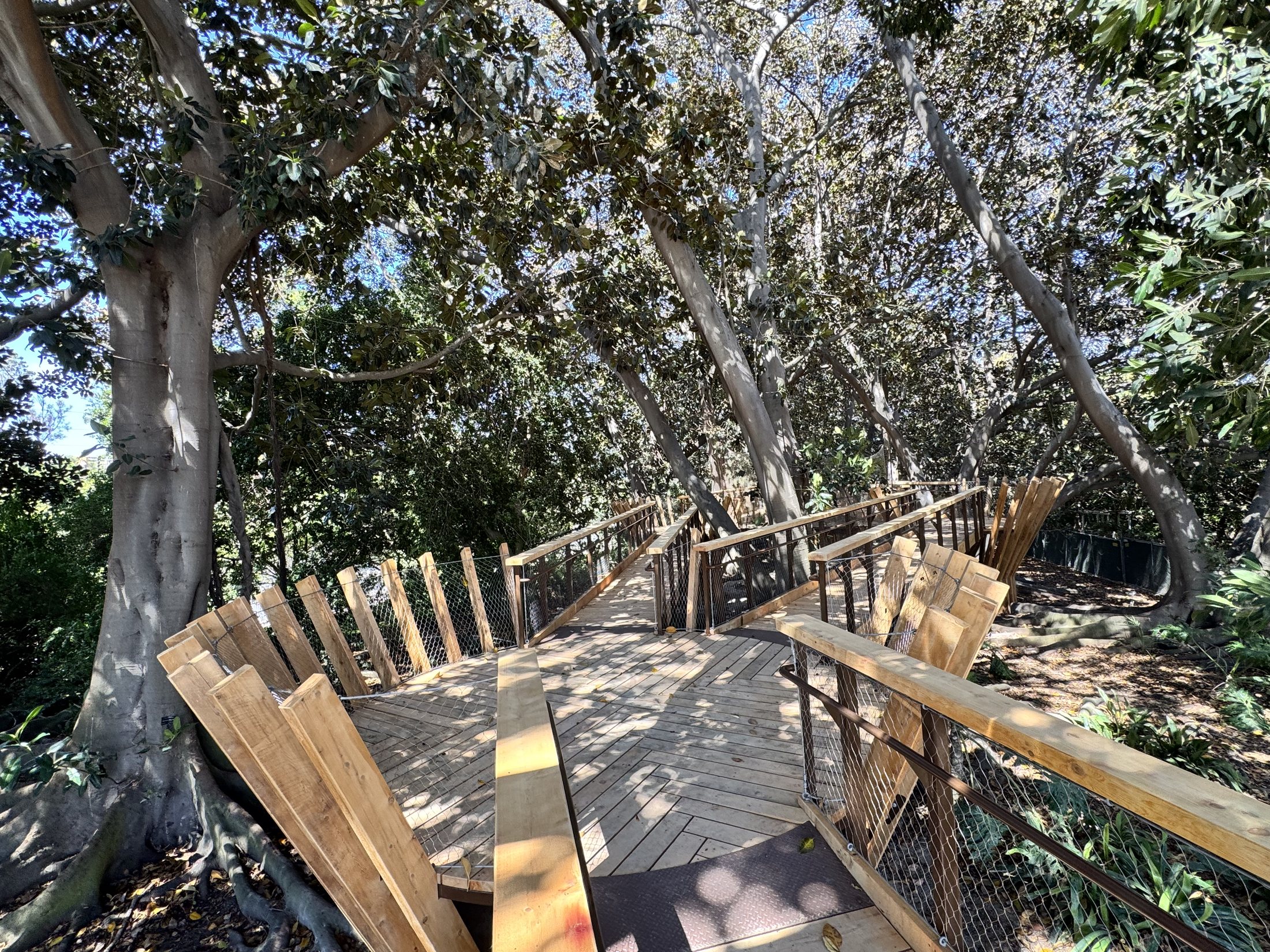 South Coast Botanic Garden project view 13
