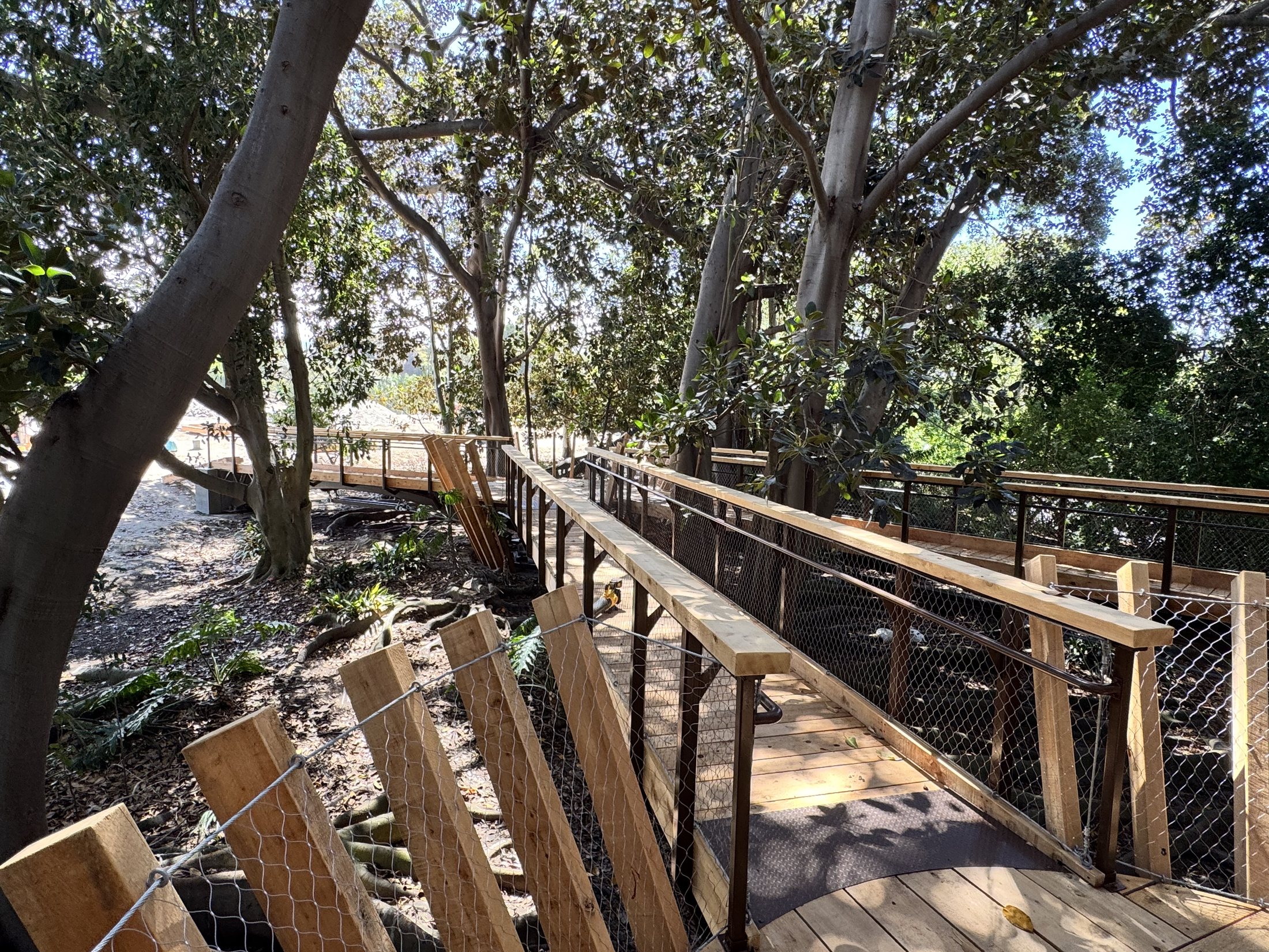 South Coast Botanic Garden project view 14
