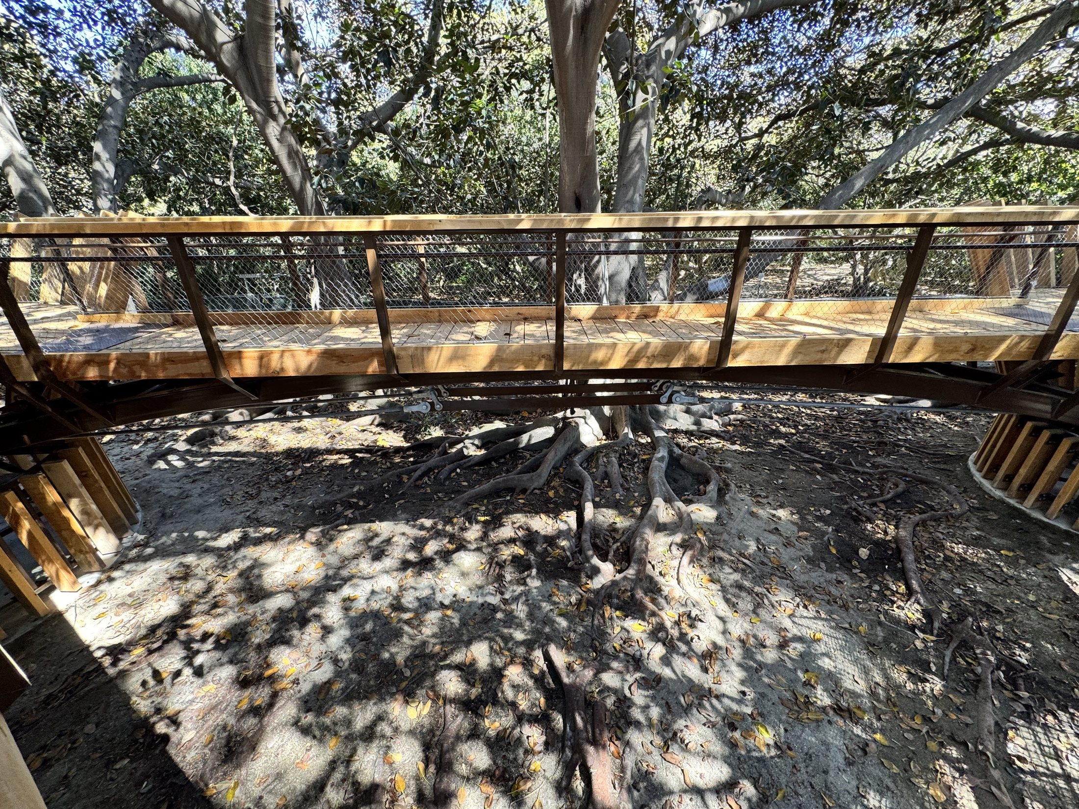 South Coast Botanic Garden project view 16