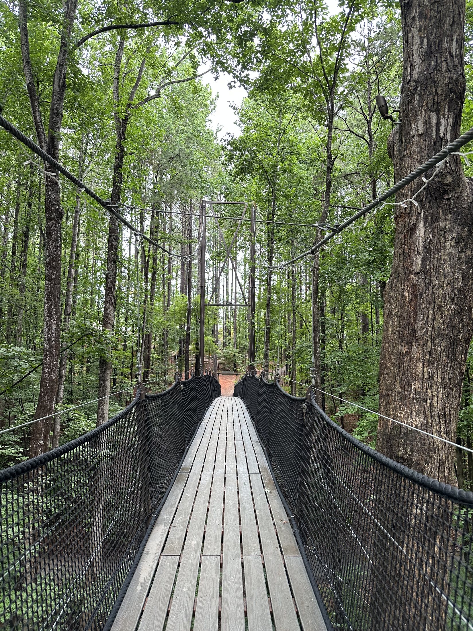 Whitewater Center project view 9